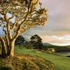 Pebble Beach Quietude By Joann Dost -Metal Print