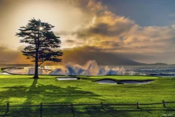 Pebble Beach Radiance By Joann Dost -Metal Print