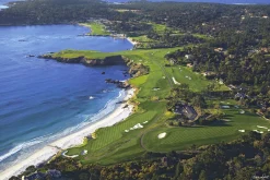 Pebble Beach Soaring By Joann Dost -Metal Print